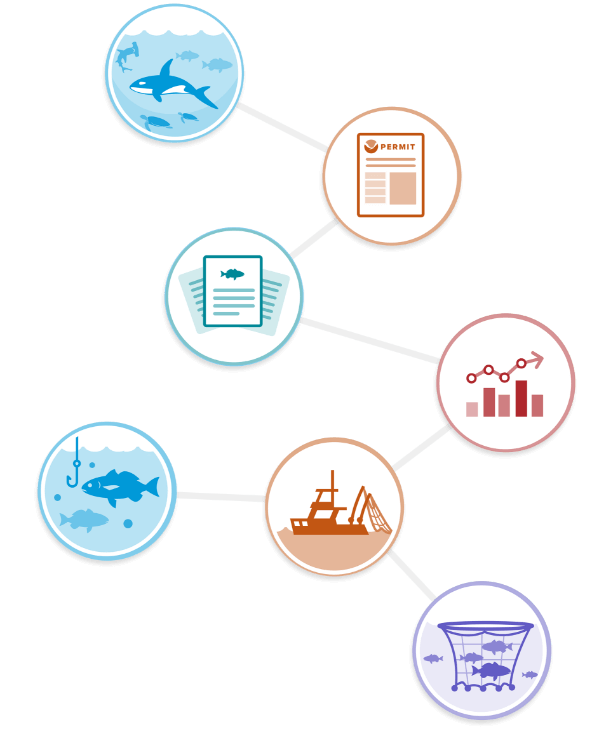 NOAA Fisheries