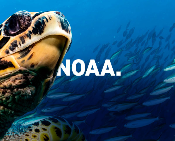 NOAA